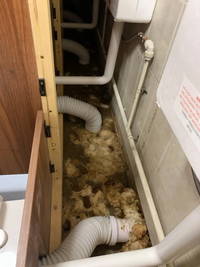 Sewage overflow in a residential room requiring professional biohazard cleanup